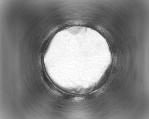 X0000051920158200507222143