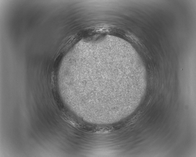 X0000051920169200507222144