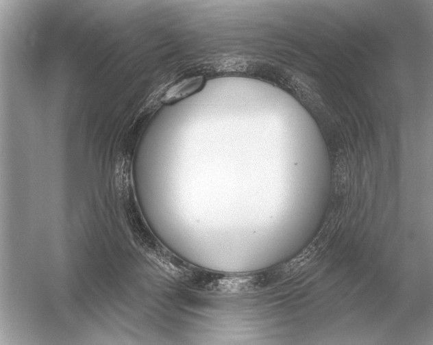 X0000051920172200507222144