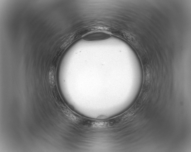 X0000051920177200507222144