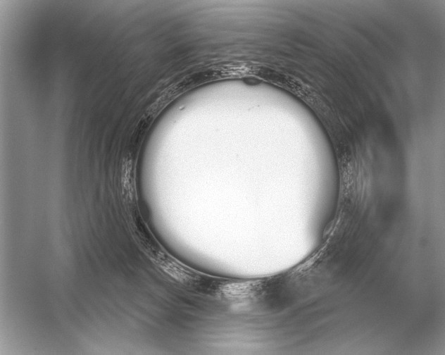 X0000051920178200507222144