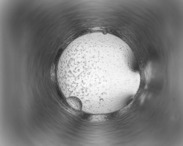 X0000051920179200507222144