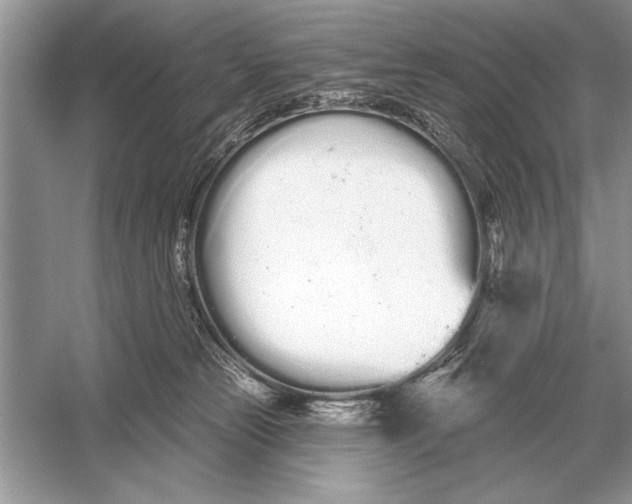 X0000051920181200507222144