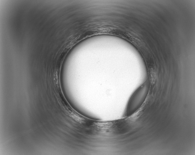 X0000051920182200507222144