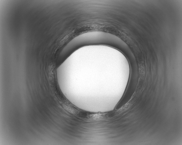 X0000051920184200507222144