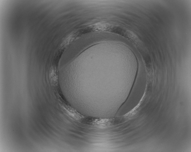 X0000051920186200507222144