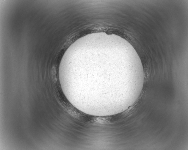 X0000051920187200507222144