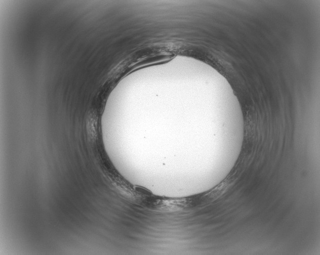 X0000051920188200507222144