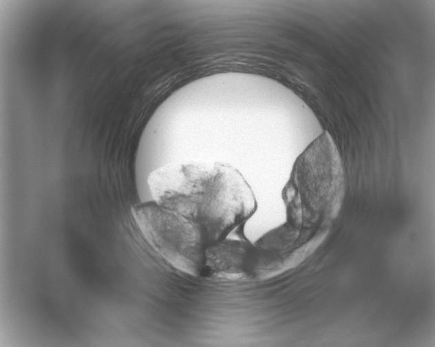 X0000051920189200507222144