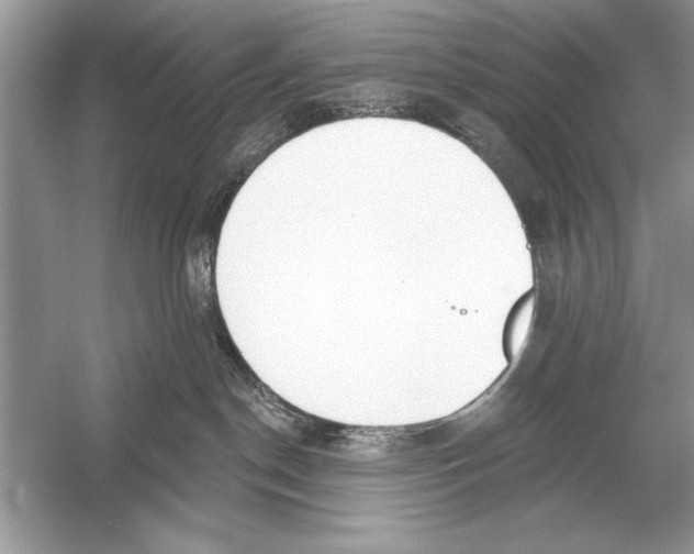 X0000051920190200507222144