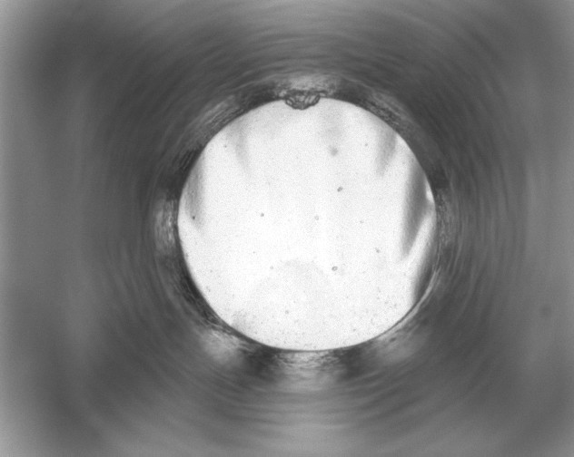 X0000051920191200507222144