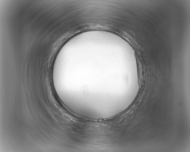 X0000051920193200507222143