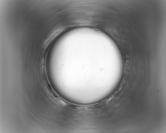 X0000051920194200507222143