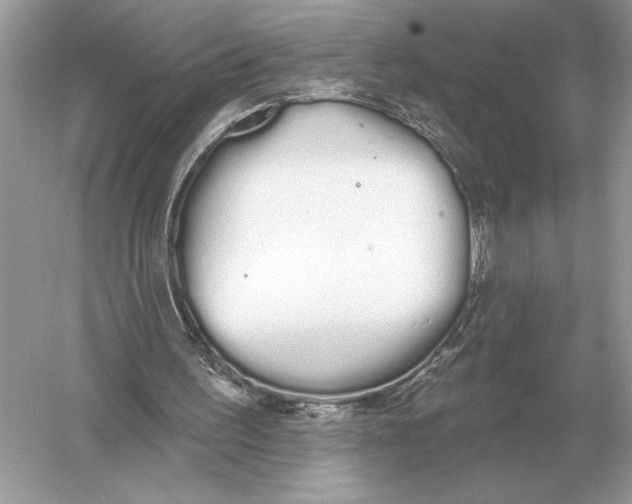 X0000051920195200507222143