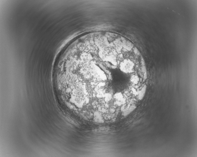 X0000051920196200507222143