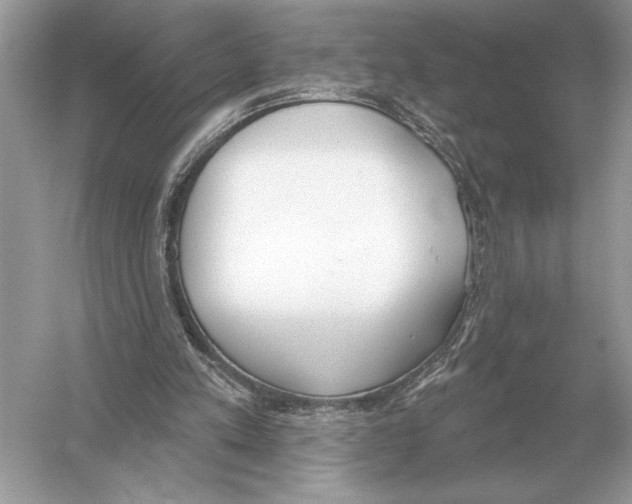 X0000051920197200507222143