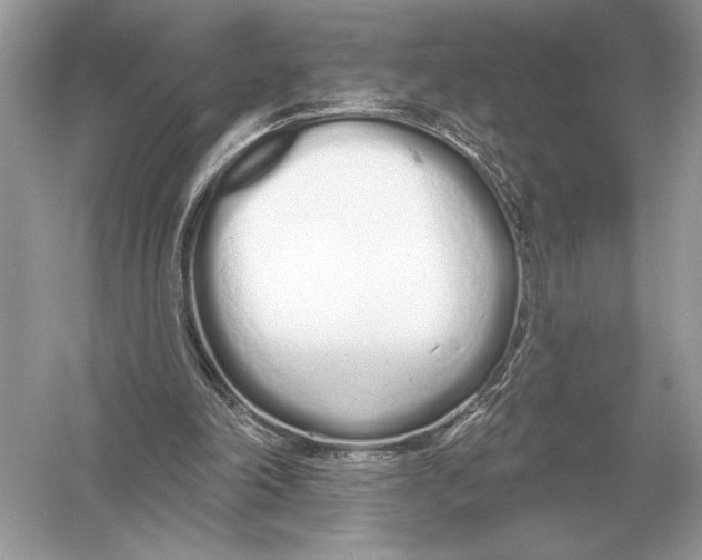 X0000051920198200507222143