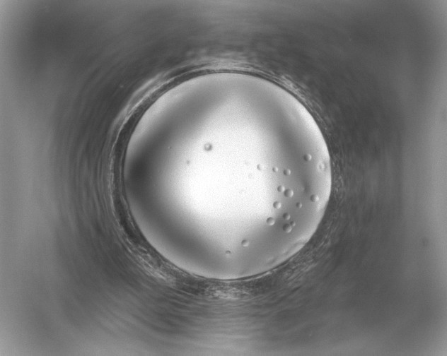 X0000051920199200507222143