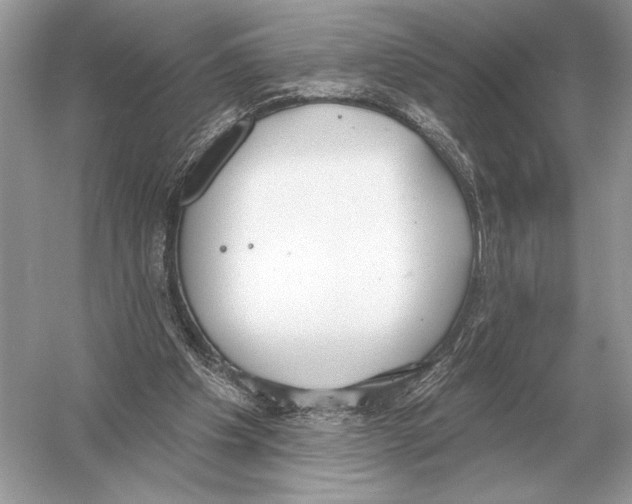 X0000051920201200507222143