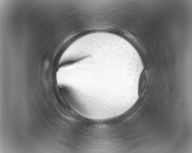 X0000051920203200507222143