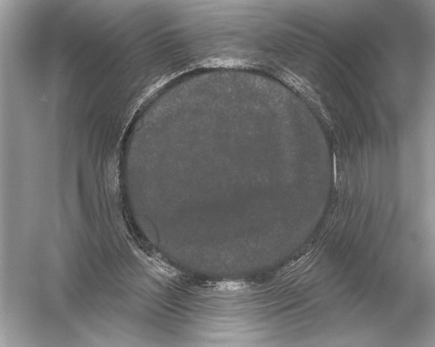 X0000051920204200507222143