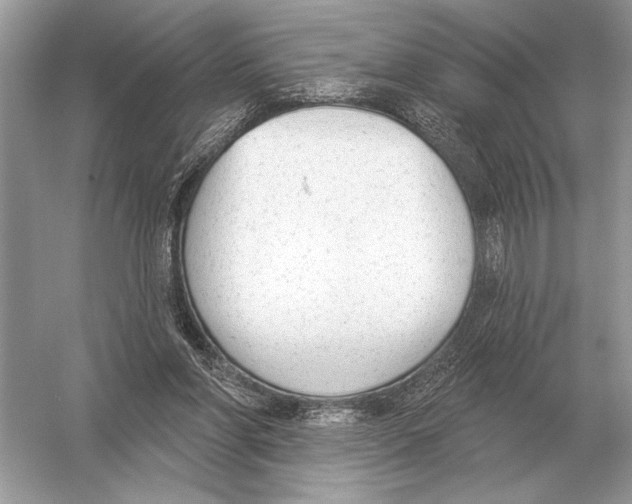 X0000051920206200507222143