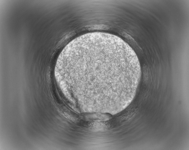 X0000051920207200507222143