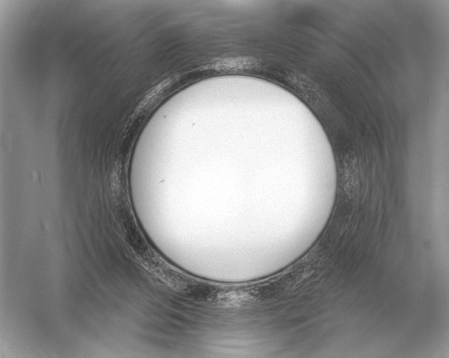 X0000051920208200507222143