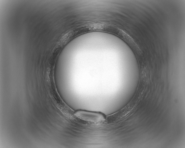 X0000051920209200507222143