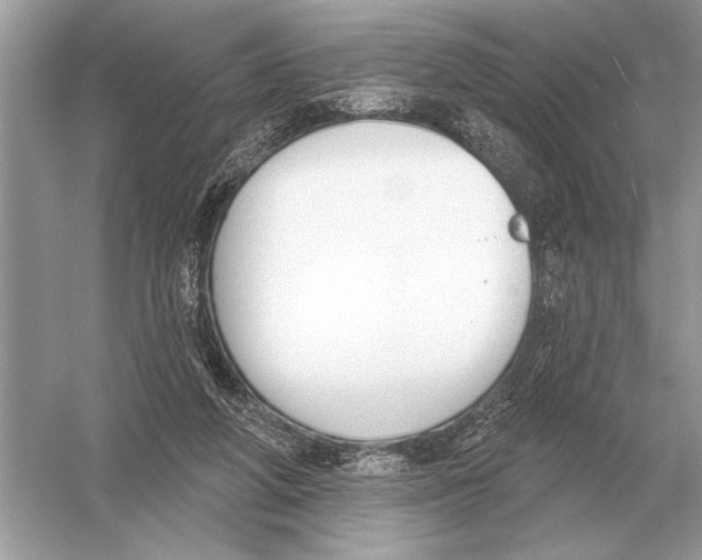 X0000051920210200507222143