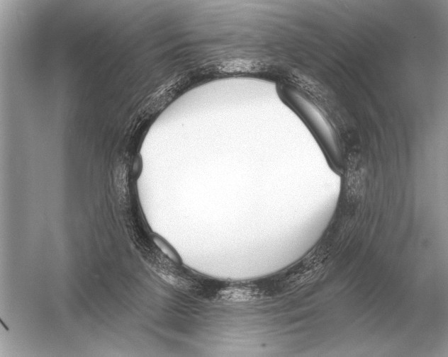 X0000051920211200507222143