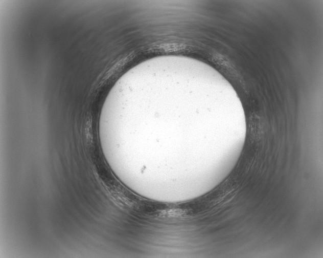 X0000051920212200507222143