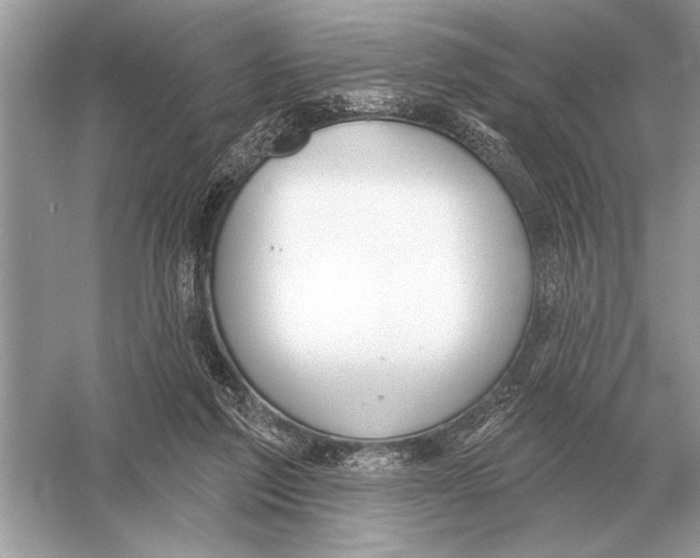 X0000051920213200507222143