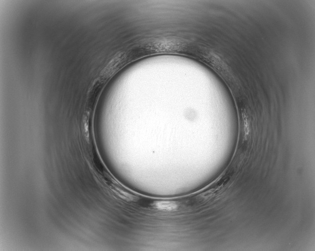 X0000051920214200507222143