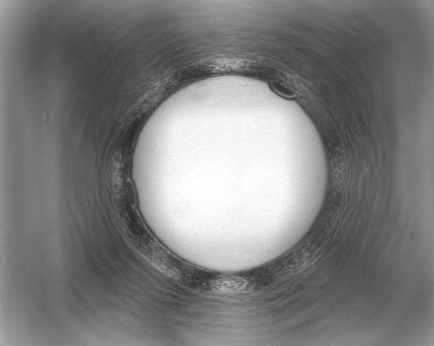 X0000051920215200507222143