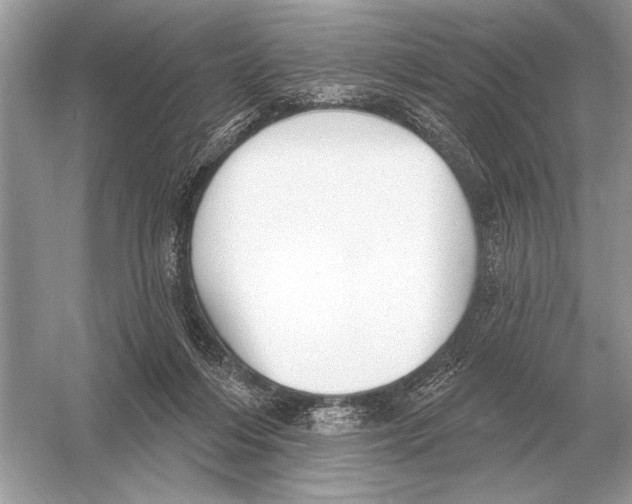 X0000051920216200507222143