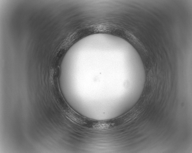 X0000051920217200507222143