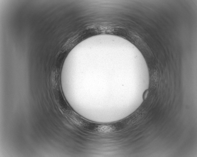 X0000051920218200507222143