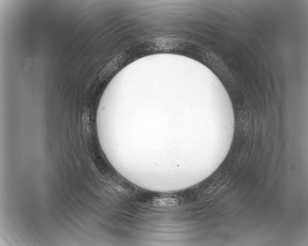 X0000051920220200507222143