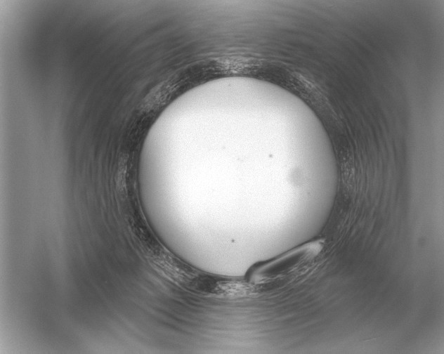 X0000051920221200507222143