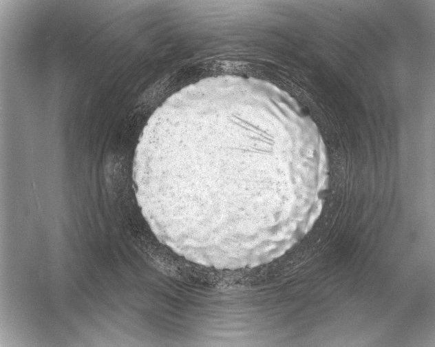 X0000051920222200507222143