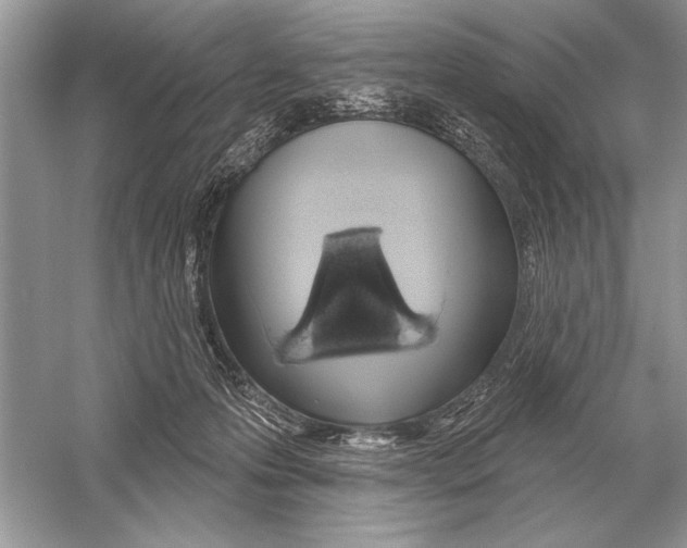 X0000051920223200507222143