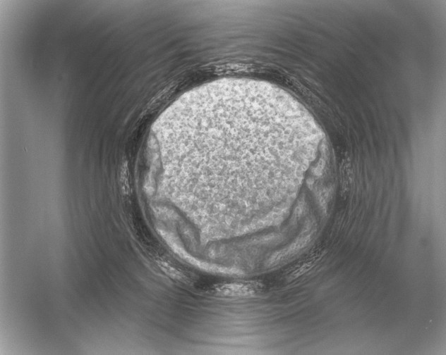 X0000051920224200507222143