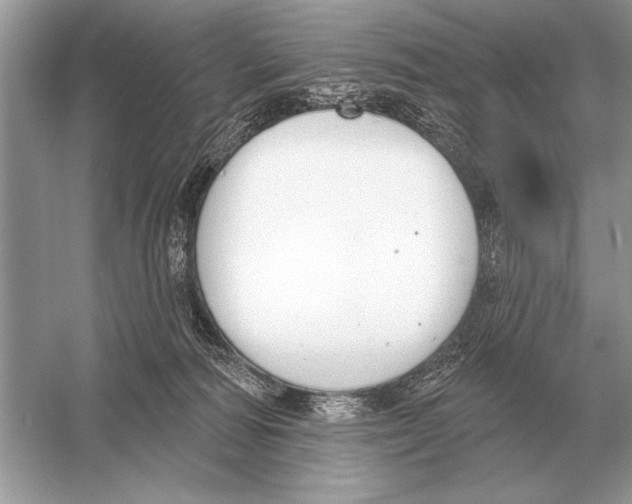 X0000051920226200507222143