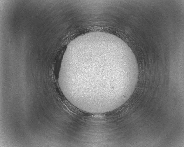 X0000051920231200507222143