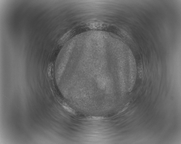 X0000051920233200507222143