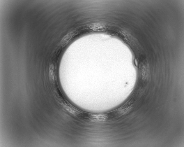 X0000051920234200507222143