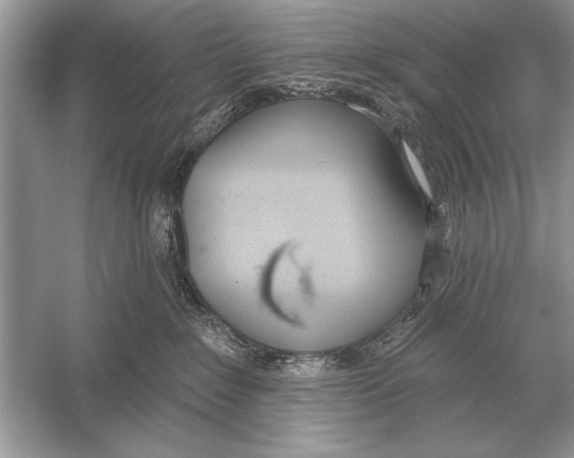 X0000051920235200507222143