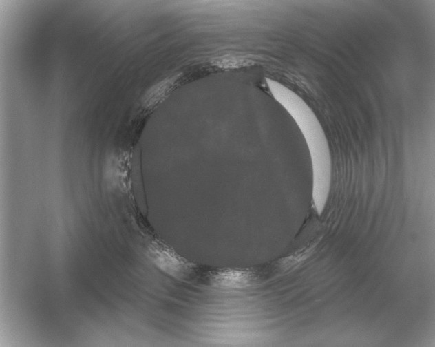 X0000051920237200507222142