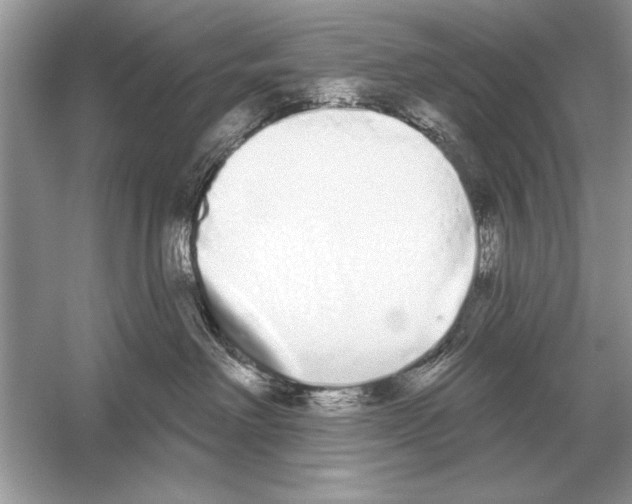 X0000051920238200507222142